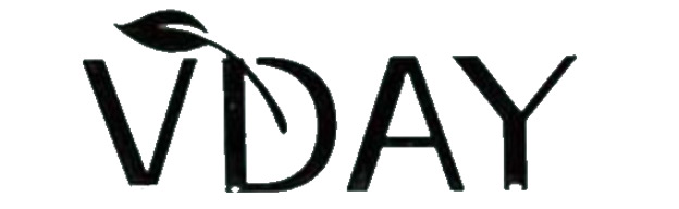 وی دی